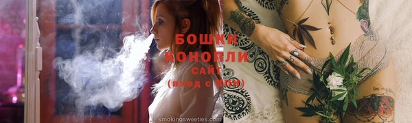 ПСИЛОЦИБИНОВЫЕ ГРИБЫ Богданович