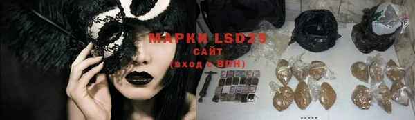 ПСИЛОЦИБИНОВЫЕ ГРИБЫ Богданович
