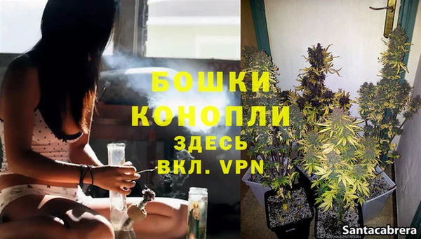 не бодяженный Богородицк