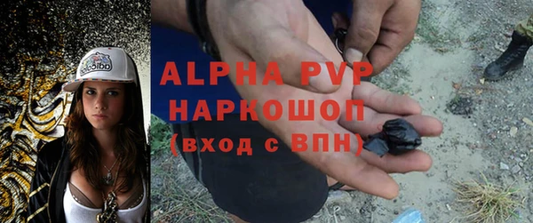 ПСИЛОЦИБИНОВЫЕ ГРИБЫ Богданович