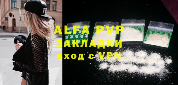 ПСИЛОЦИБИНОВЫЕ ГРИБЫ Богданович