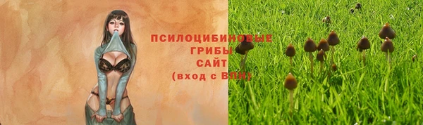 не бодяженный Богородицк