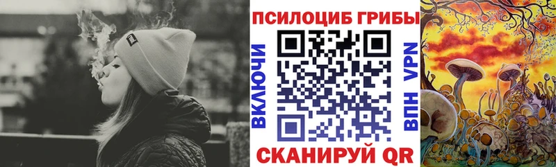 хочу наркоту  Козьмодемьянск  Галлюциногенные грибы MAGIC MUSHROOMS 